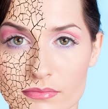 pele seca no inverno